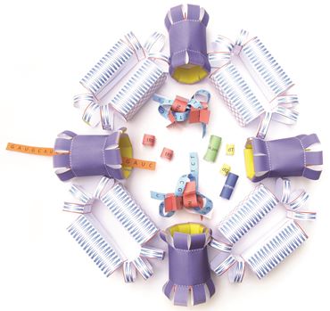 Cell Nucleus—NewPath Science 3-D Model Kit