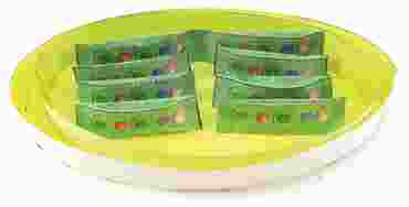 Chloroplasts 3-D Model Kit