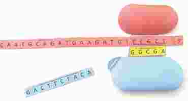 DNA Replication—NewPath Science 3-D Model Kit