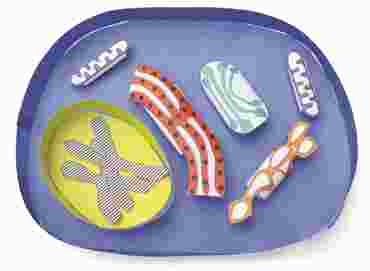 Simple Animal Cell—NewPath Science 3-D Model Kit
