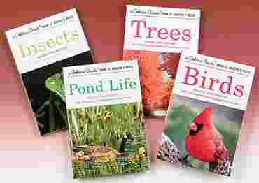 Birds Golden Guide Field Book