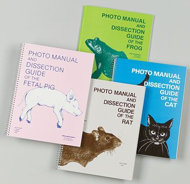 Cat Dissection Photo Guide for Biology and Life Science