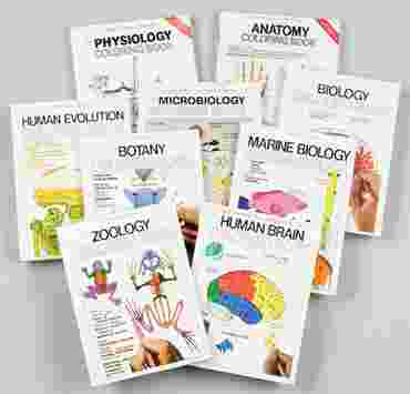 Anatomy Coloring Book for Biology and Life Science