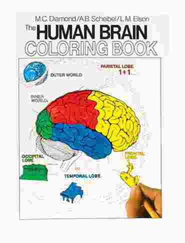Anatomy Coloring Book for Biology and Life Science