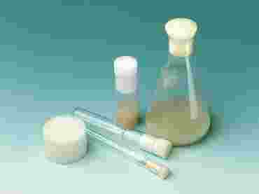 Foam Plugs White fits 14 to 20 mm