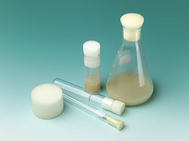 Foam Plugs White fits 14 to 20 mm