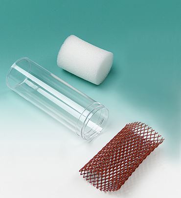 fruit flies, fruit fly, drosophilia