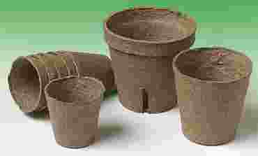 Jiffy® Peat Pots for Biology and Life Science, Pkg. of 12