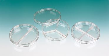 Sterile Petri Dish Divided into 2 Partitions