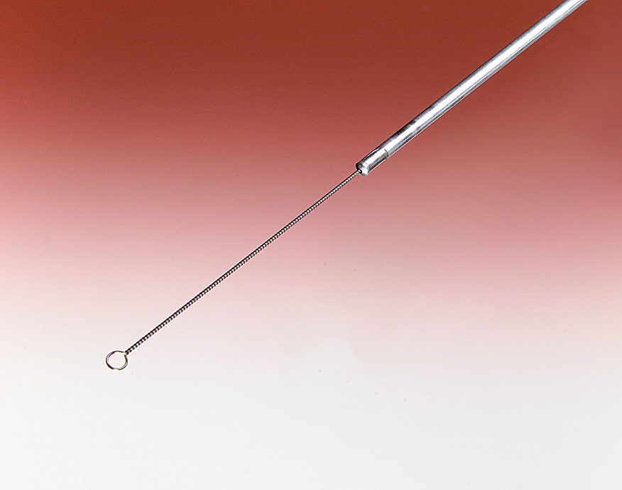 Inoculating Loop, Nichrome Wire Flinn Scientific