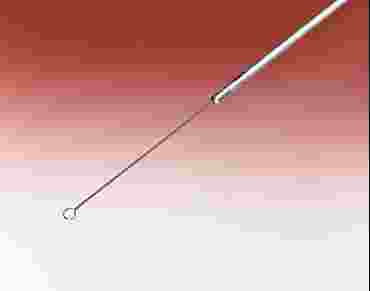 Nichrome Inoculating Loop