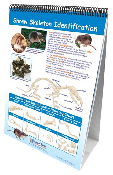 Owl and Owl Pellet—NewPath Learning Flip Chart Set