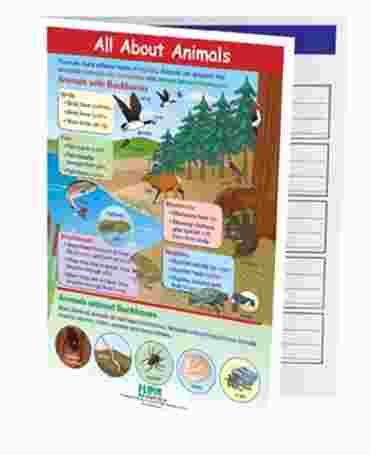 All About Animals—NewPath Visual Learning Guide