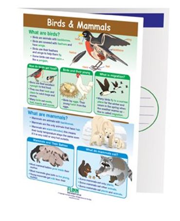 Birds & Mammals—NewPath Visual Learning Guide