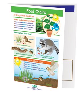 Food Chains—NewPath Visual Learning Guide