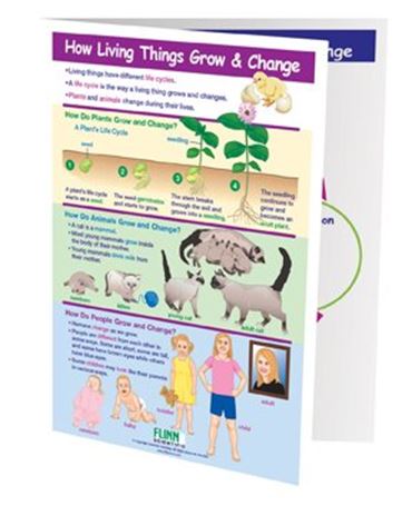 How Living Things Grow & Change—NewPath Visual Learning Guide