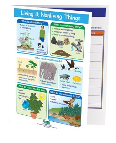 Living & Nonliving Things—NewPath Visual Learning Guide