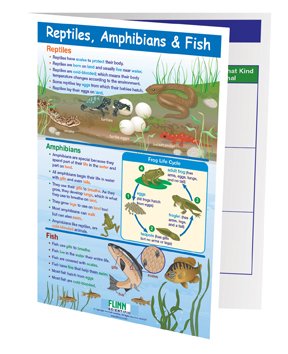 Reptiles, Amphibians and Fish—NewPath Visual Learning Guide