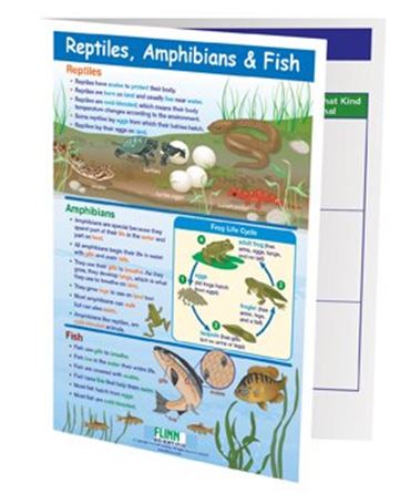 Reptiles, Amphibians and Fish—NewPath Visual Learning Guide