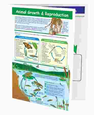 Animal Growth & Reproduction—NewPath Visual Learning Guide