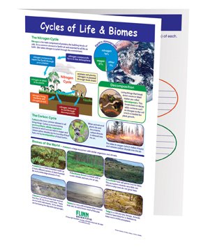 Cycles of Life & Biomes—NewPath Visual Learning Guide