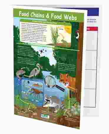 Food Chains & Food Webs—NewPath Visual Learning Guide