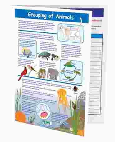 Grouping of Animals—NewPath Visual Learning Guide