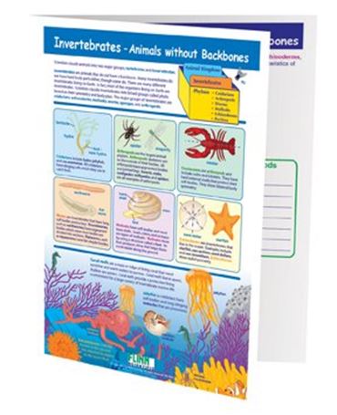 Invertebrates—Animals Without Backbones—NewPath Visual Learning Guide