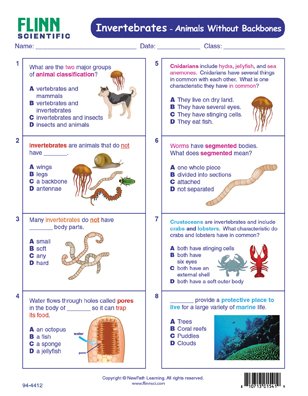 Invertebrates—Animals Without Backbones—NewPath Visual Learning Guide