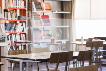 4-Way Divider/Barrier