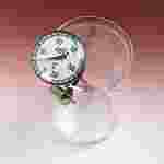 Oven Thermometer with Probe
