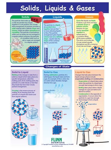 Solids, Liquids & Gases—NewPath Visual Learning Guide