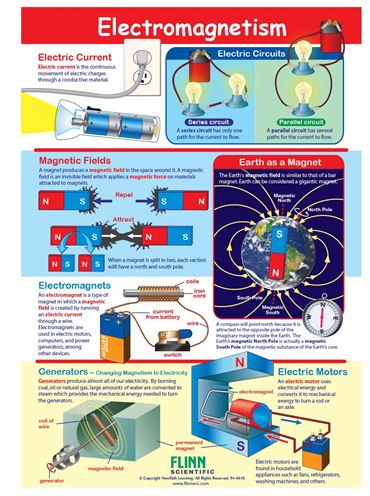 Electromagnetism—NewPath Visual Learning Guide