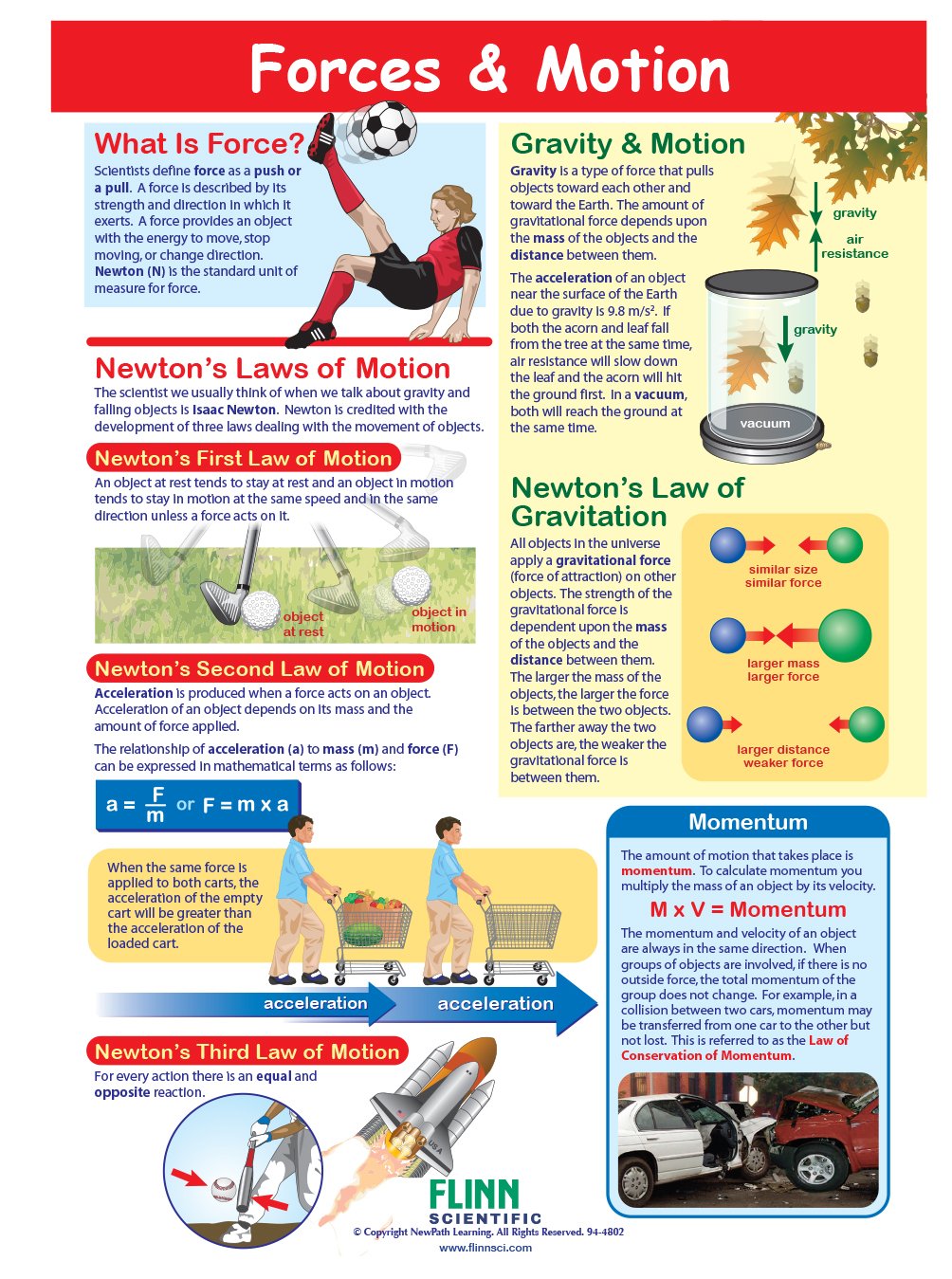 Forces & Motion—NewPath Visual Learning Guide