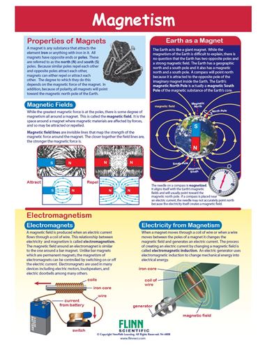 Magnetism—NewPath Visual Learning Guide