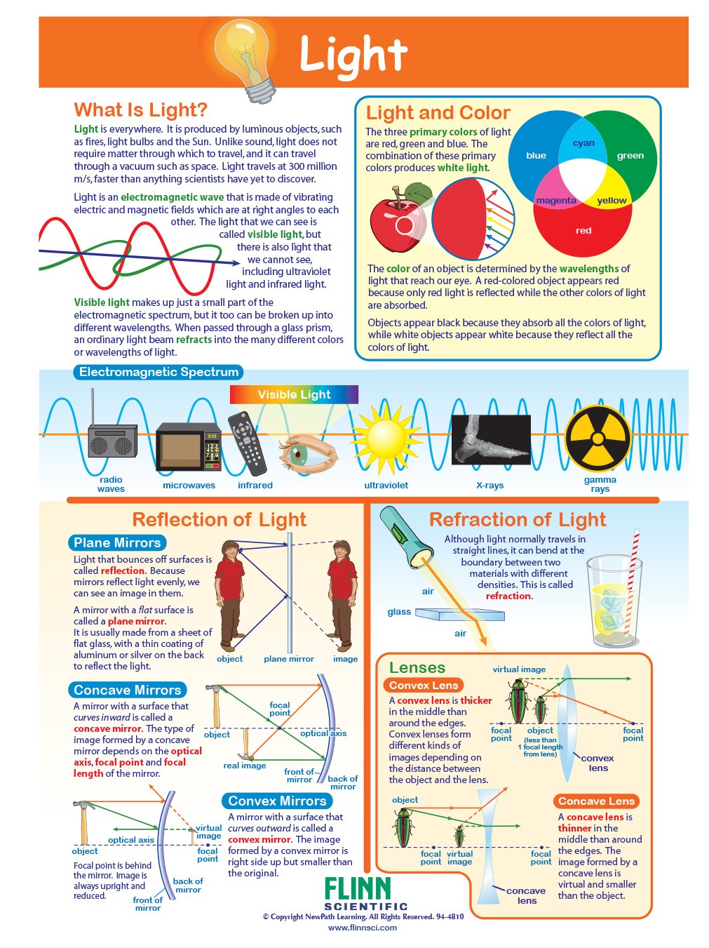 Light—NewPath Visual Learning Guide