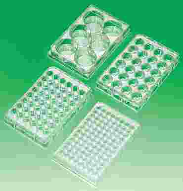 Reaction Plate 24 Wells