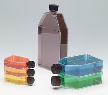 Graduated Chemical Solution Bottle 50 mL