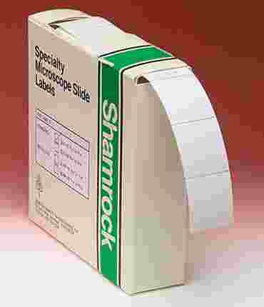 Small Square Labels