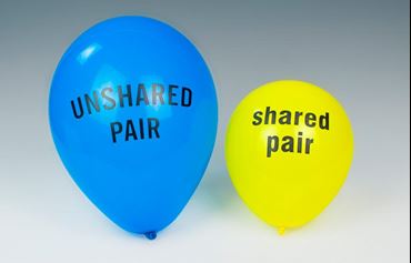 Valence Shell Shared Pair Electron Balloons