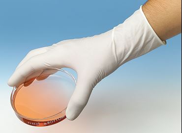 PPE and Lab Safety Powder-Free Latex Gloves, Small