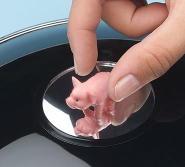 The Mirage Optical Illusion Kit