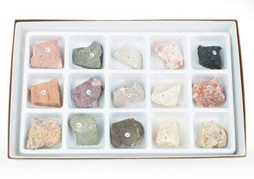 Sedimentary Rock Collection for Geology and Earth Science