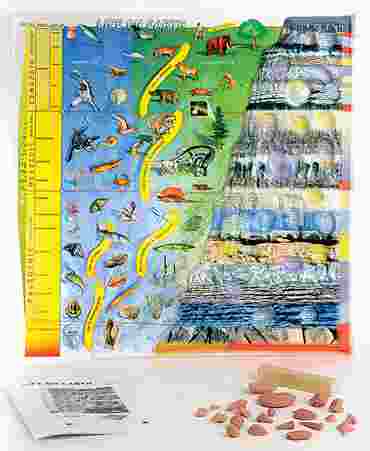 Earth History Model for Earth Science