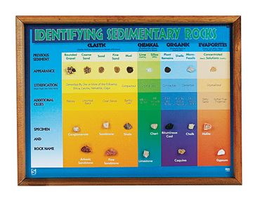 Sedimentary Rock Chart for Geology