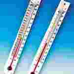 Metal-Backed Thermometer Celsius/Fahrenheit