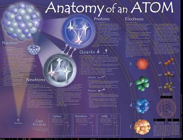 Anatomy of an Atom Poster