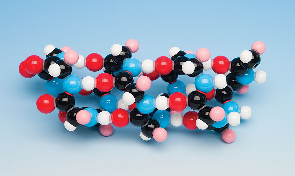 Alpha-Helix Model DNA Kit for Biology and Life Science