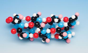 Alpha-Helix Model DNA Kit for Biology and Life Science