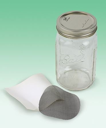 surface tension, air pressure, cohesion